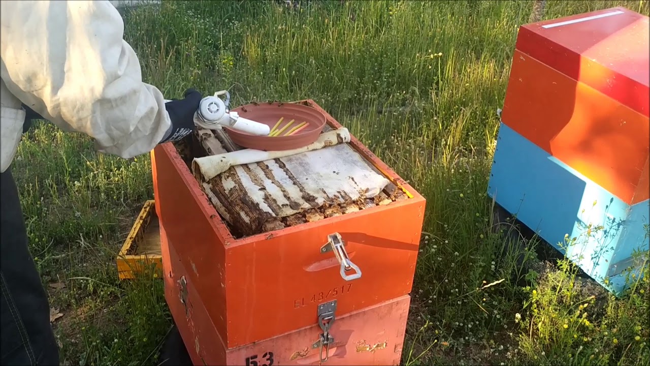 Τροφοδοσια σιροπιου στα μελισσια με αντλια 12v
