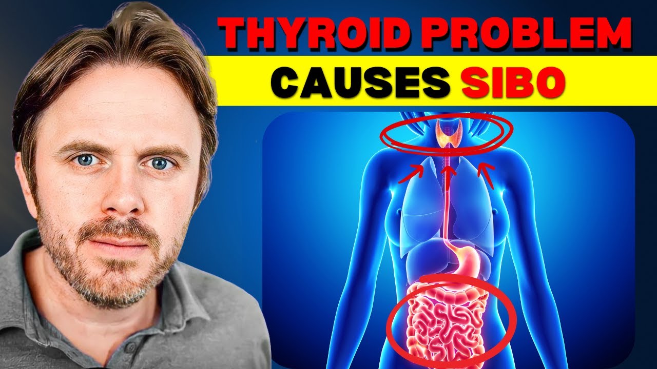 Small Intestinal Bacterial Overgrowth Caused by Thyroid Problems?