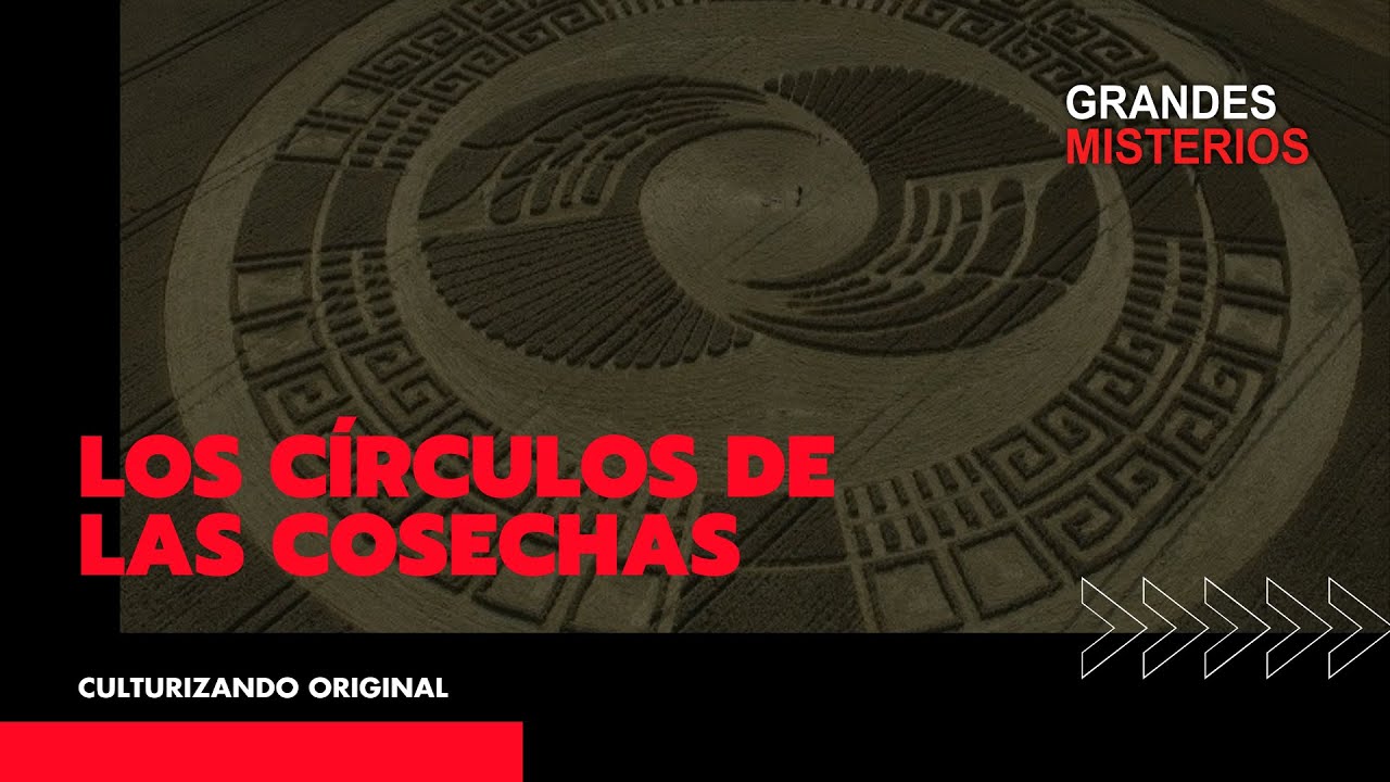 Los círculos de las cosechas • Culturizando