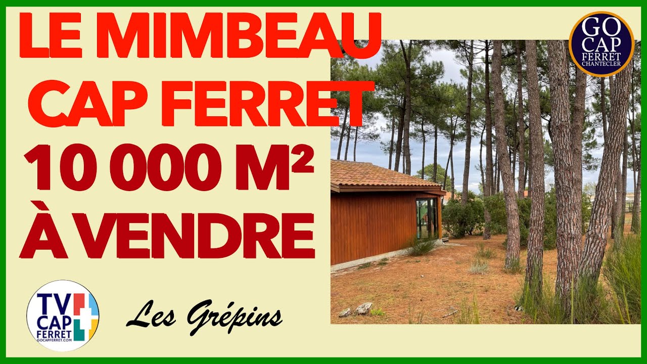 10000 M² À VENDRE AU CAP FERRET - VILLAGES GRÉPINS MIMBEAU