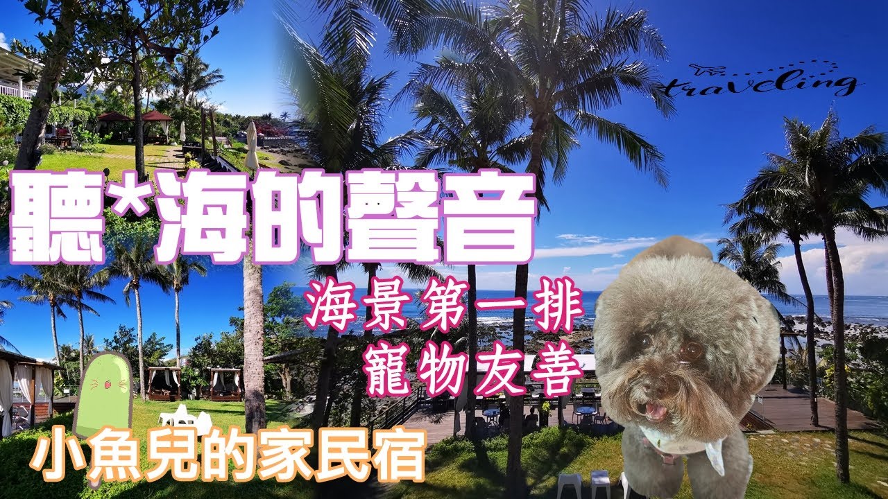 【寵物友善民宿-台東】海景第一排︱無敵海景︱24小時都不同的景色︱私人草皮︱擁有無人海邊︱★小魚兒的家民宿★VLOG EP.170