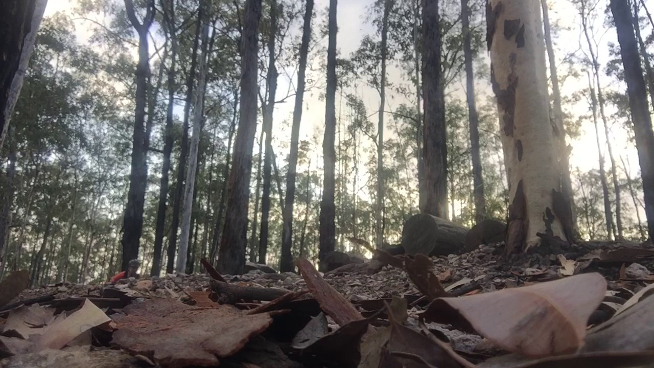 Jurassic jump