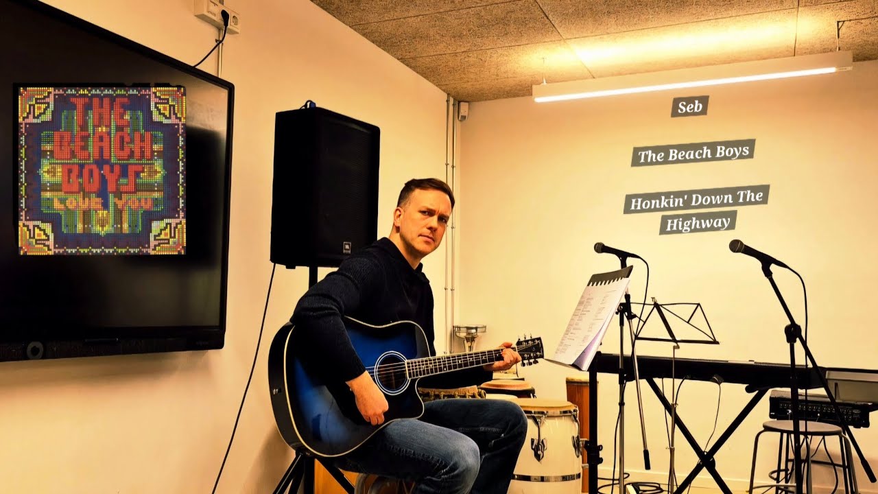 Seb / The Sardives - The Beach Boys - Honkin' Down The Highway #beachboys #aljardine #guitarcover 