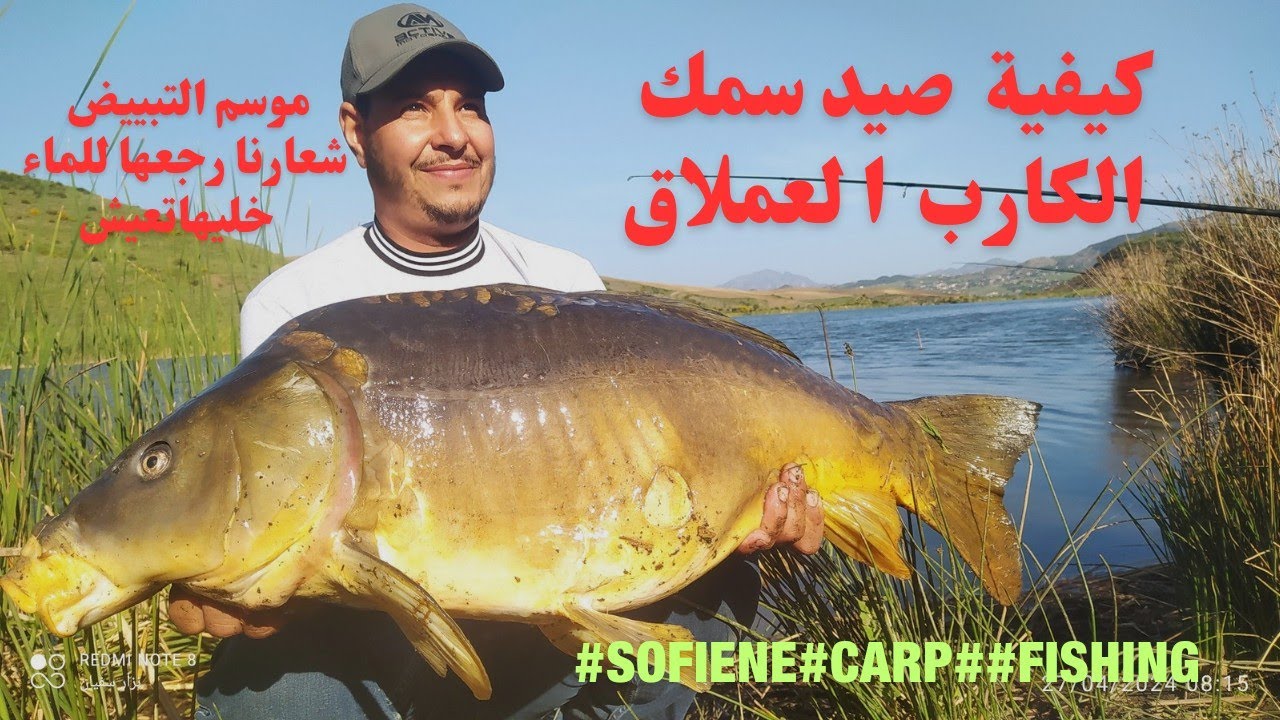 كيفية صيد سمك الكارب العملاق في سد عموشة ولاية سطيف   #fishing #sofiene #carp  @stivane