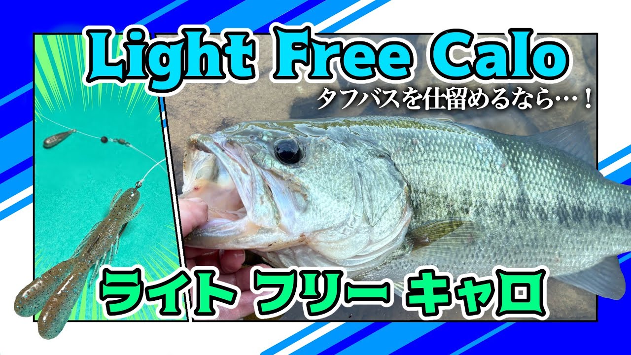 【バス釣り】ロングキャストとフィネスの両立！ライトフリーキャロでタフバス攻略！