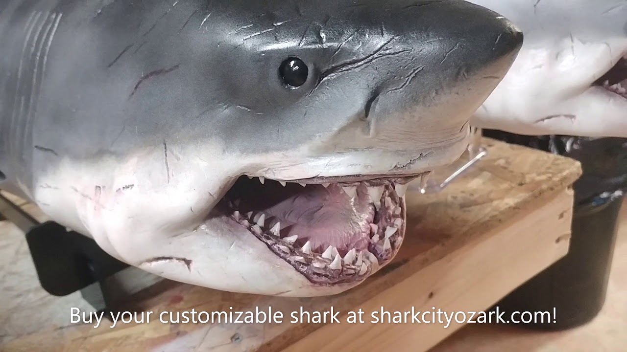 Customize Your SCO Bruce Shark!