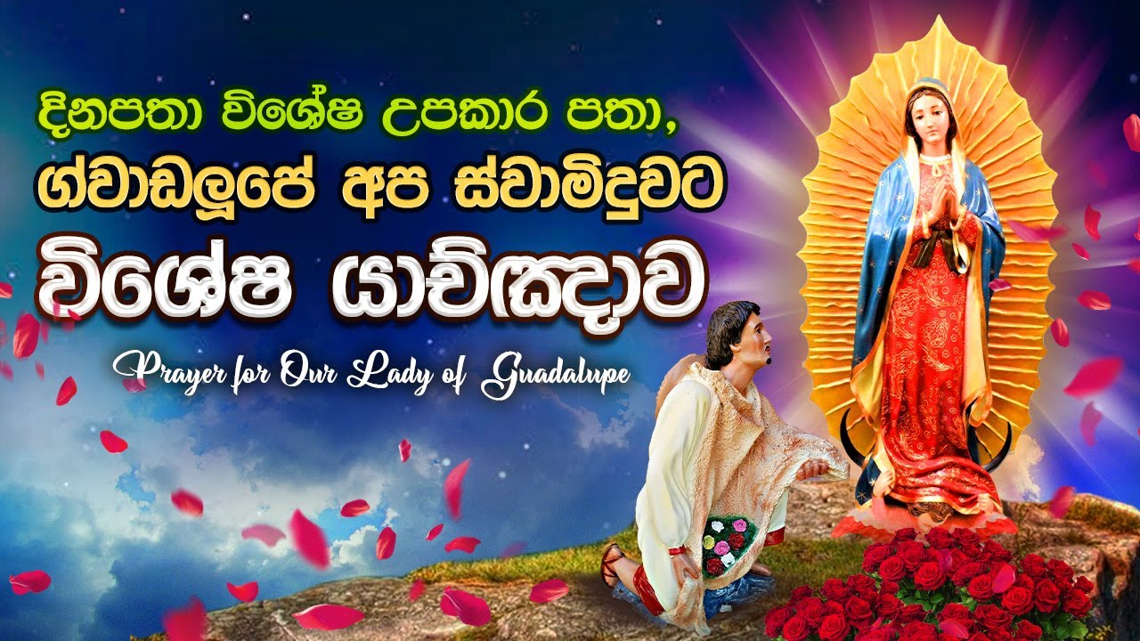 ගුවාඩලූපේ අප ස්වාමිදුවට විශේෂ උපකාර යාච්ඤාව | Powerful prayer to Our Lady of Guadalupe | Api Jesuge