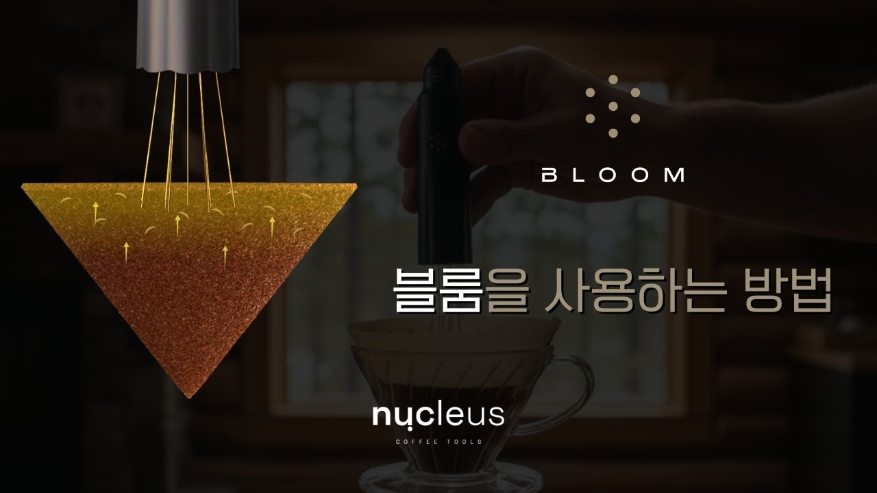 블룸(Bloom)을 사용하는 방법