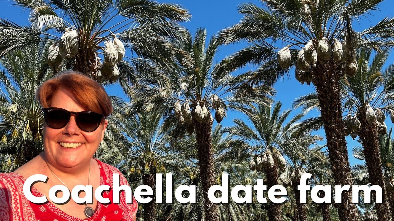 Growing fruit in the desert? Date FARM TOUR