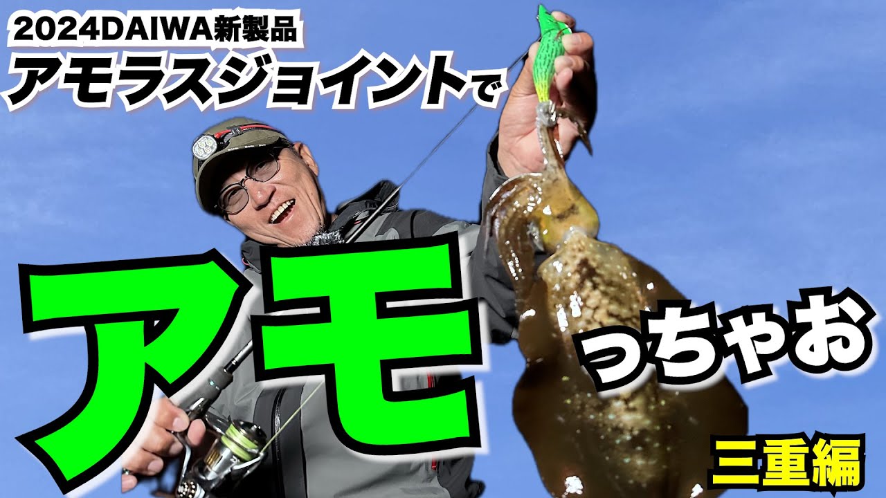 【エギング】話題のジョイントエギ　エメラルダスアモラスジョイントでアモりまくり釣行!!【in三重】