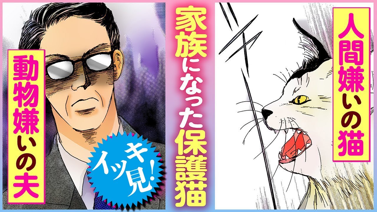 イッキ見【ネコまんが】本当にあった猫と人との泣ける話