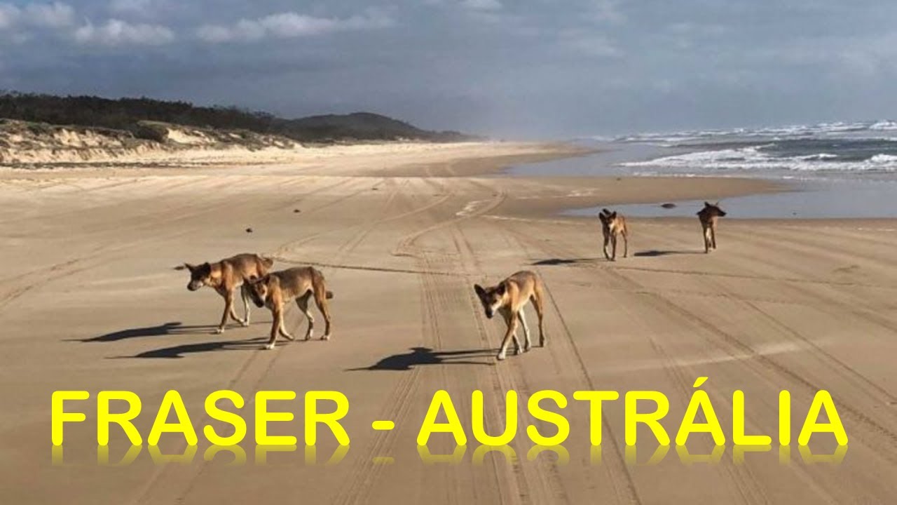 AS PRAIAS MAIS PERIGOSAS DA AUSTRÁLIA - # 1 # ILHA FRASER