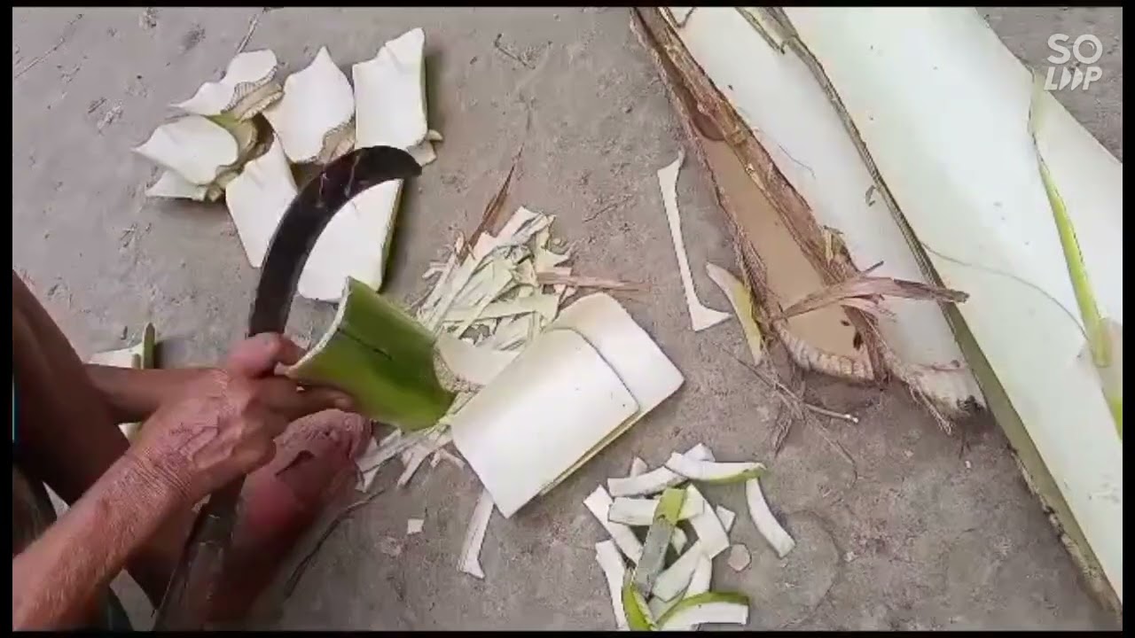 কলার খোল দিয়ে ডোঙ্গা বানানোর পদ্ধতি| পুজোর দরকারী উপকরণ কলার ডোঙ্গা| আচারপার্বণ| মা তোর|বাংলাদেশ🌺🌿|