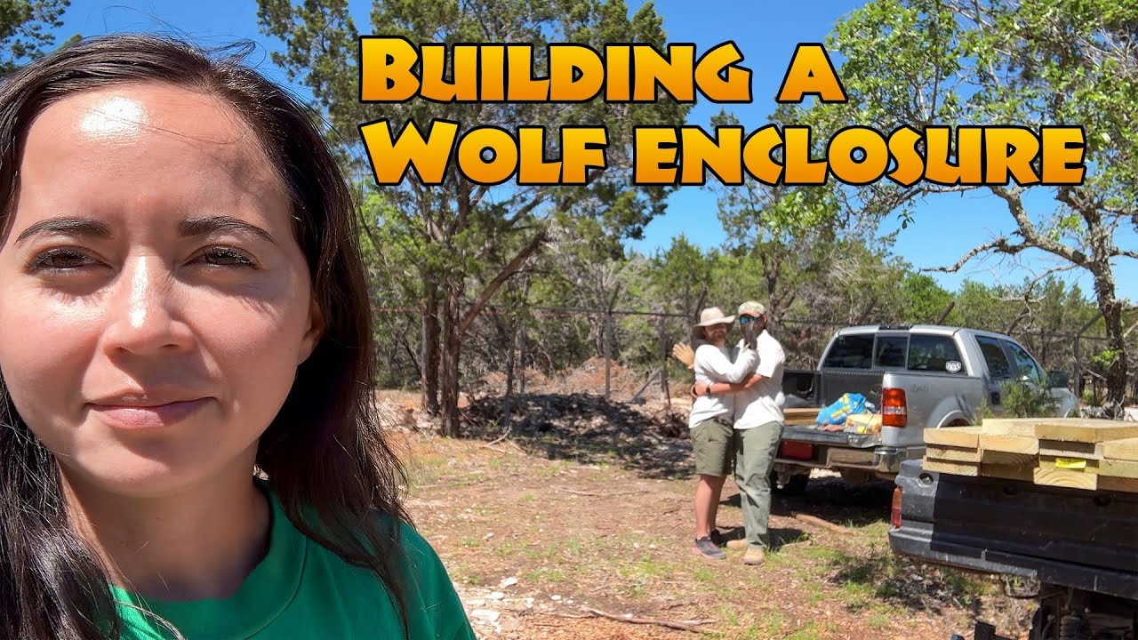 Building A Wolf Enclosure | Part 2