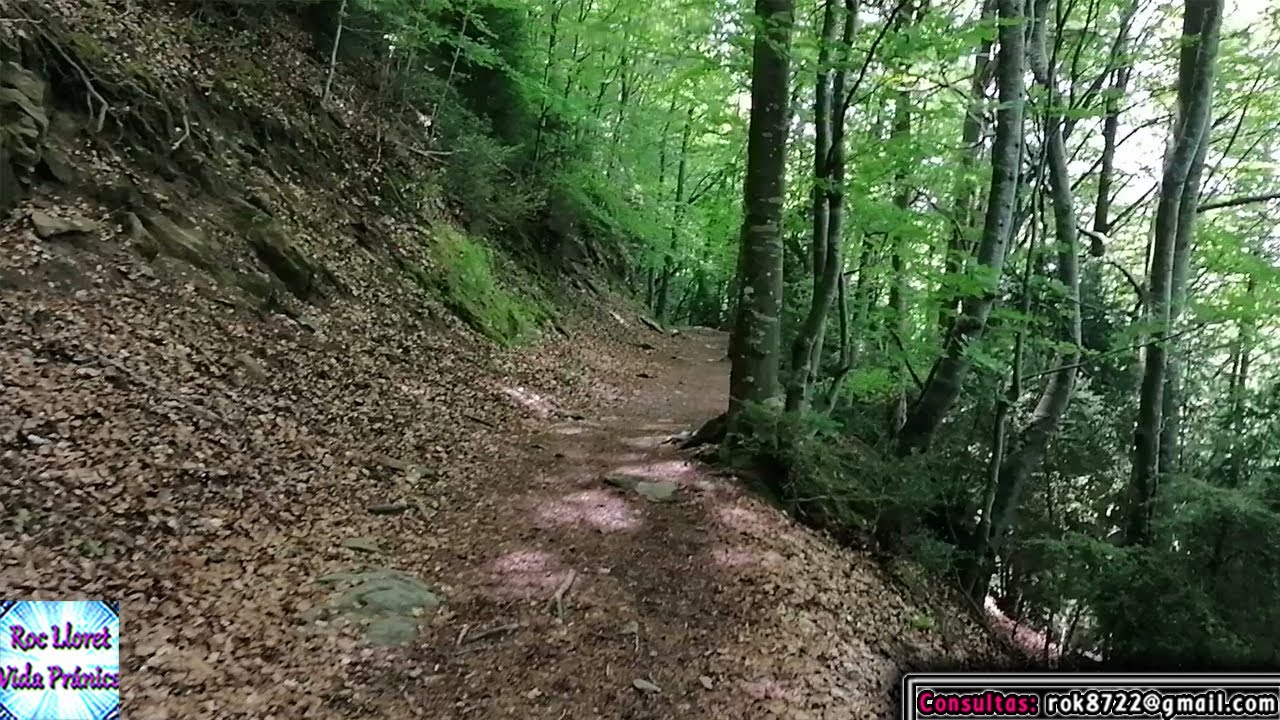 Rodeado de NATURALEZA, PAISAJES, PAZ, CALMA, QUIETUD... - Alimentaci&oacute;n Pr&aacute;nica | Respiarcionsmo
