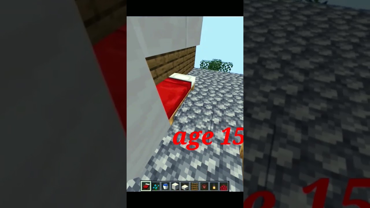 age 5 vs age 10 vs age 15 in Minecraft #shorts #gaming #age