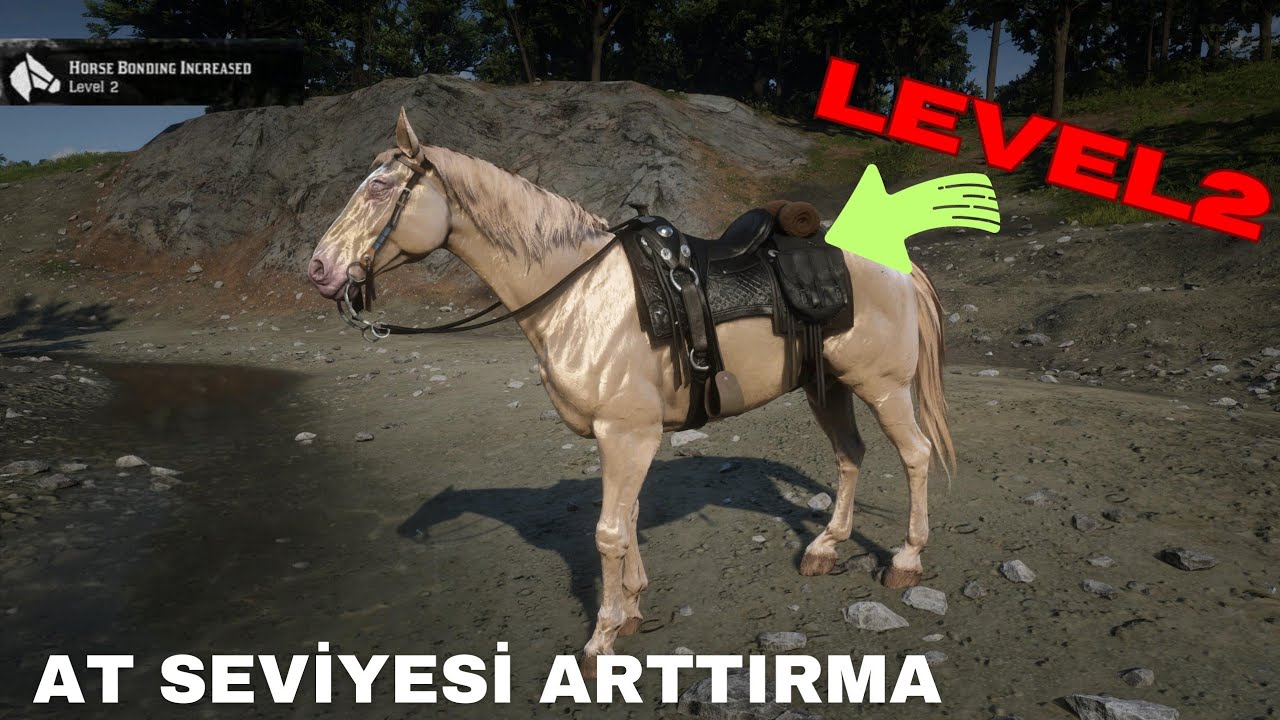 NASIL AT SEVİYESİ ARTTIRILIR? RDR2