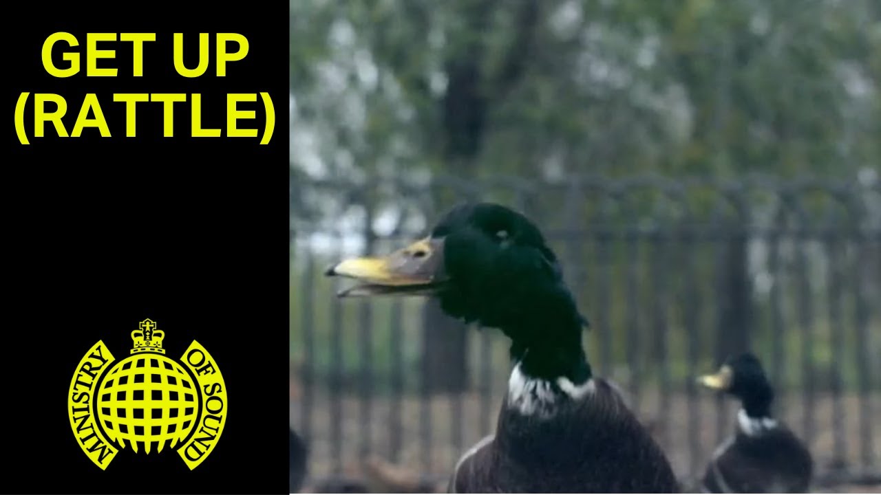 Bingo Players ft. Far East Movement - Get Up (Rattle) (Official Music Video) | Ministry of Sound