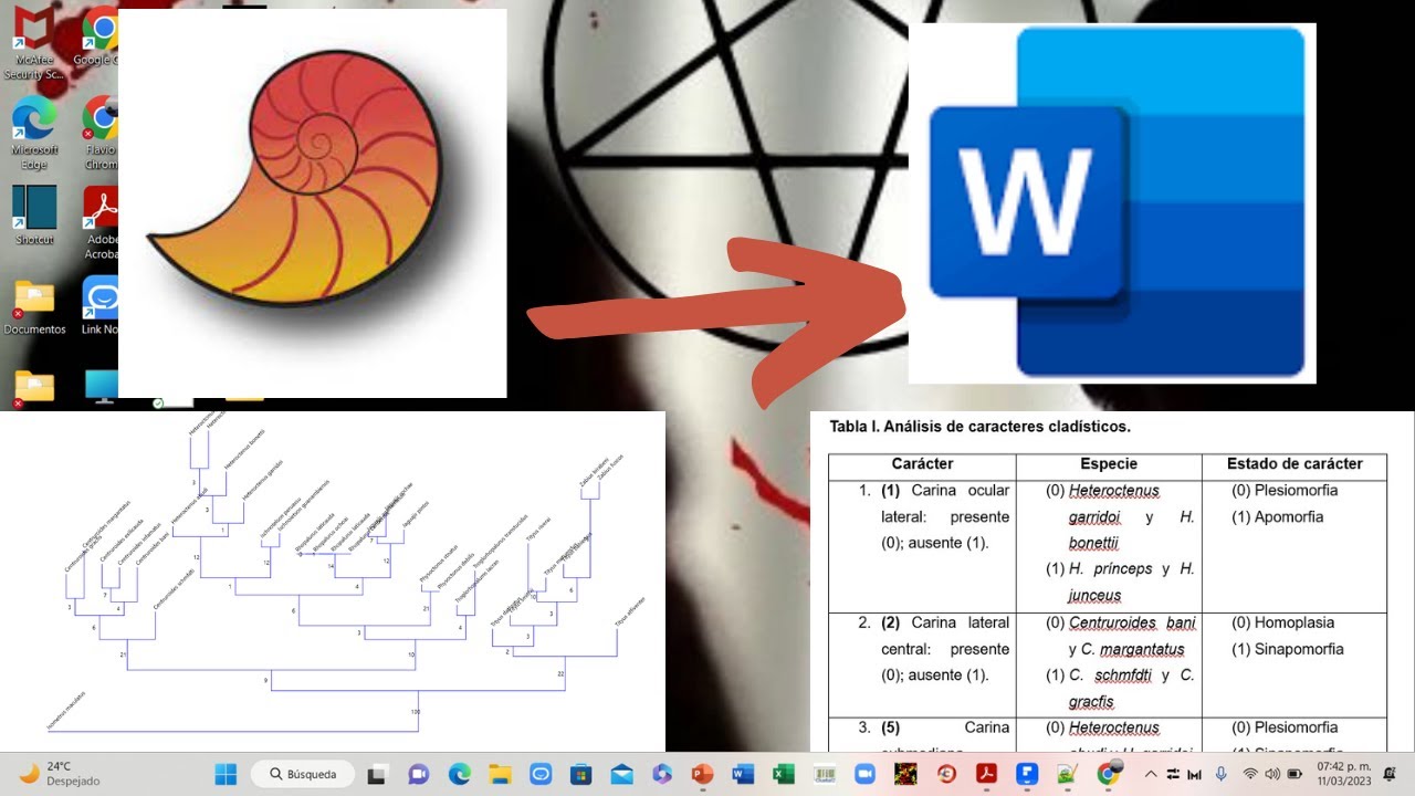 Past: Indices, fenogramas, cladograma y árbol consenso
