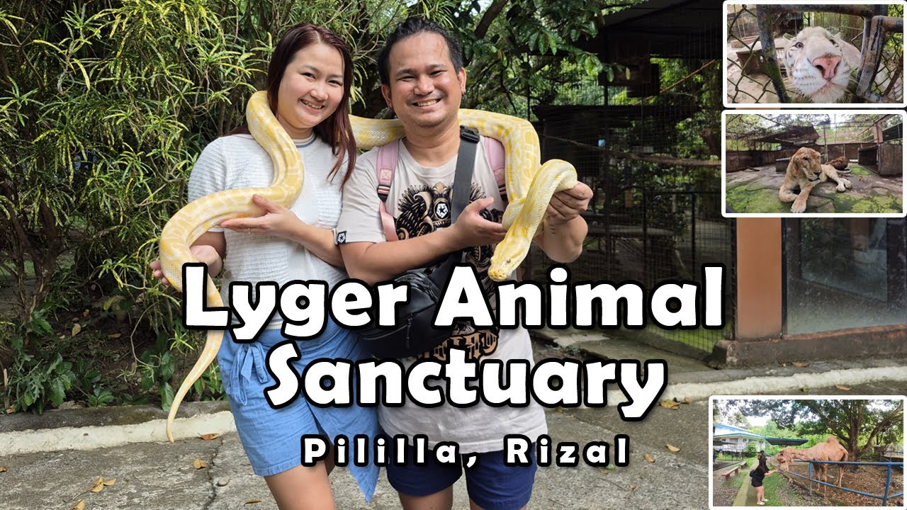 Lyger Animal Sanctuary | Matagbak Rd. | Pililla | Rizal
