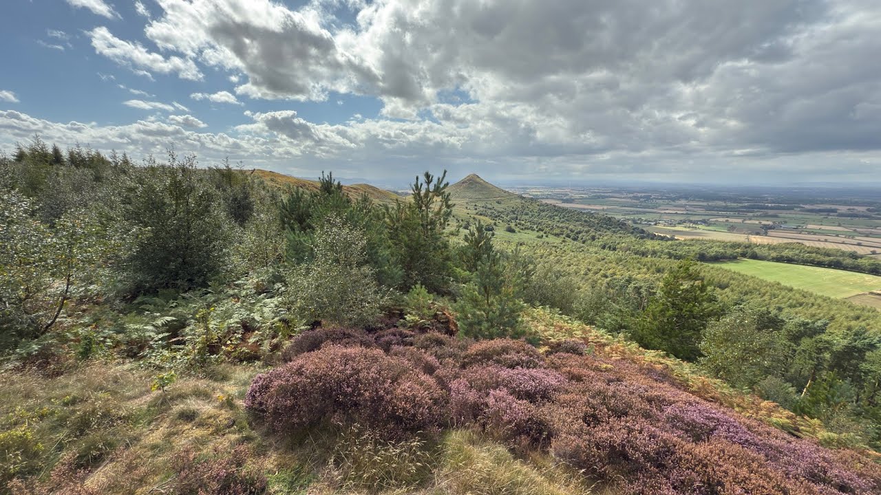 Over moors and Roseberry topping 