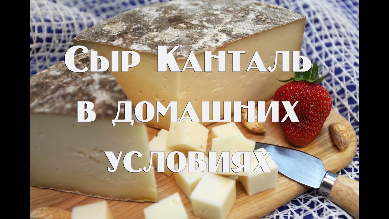 Легендарный французский сыр Канталь в домашних условиях