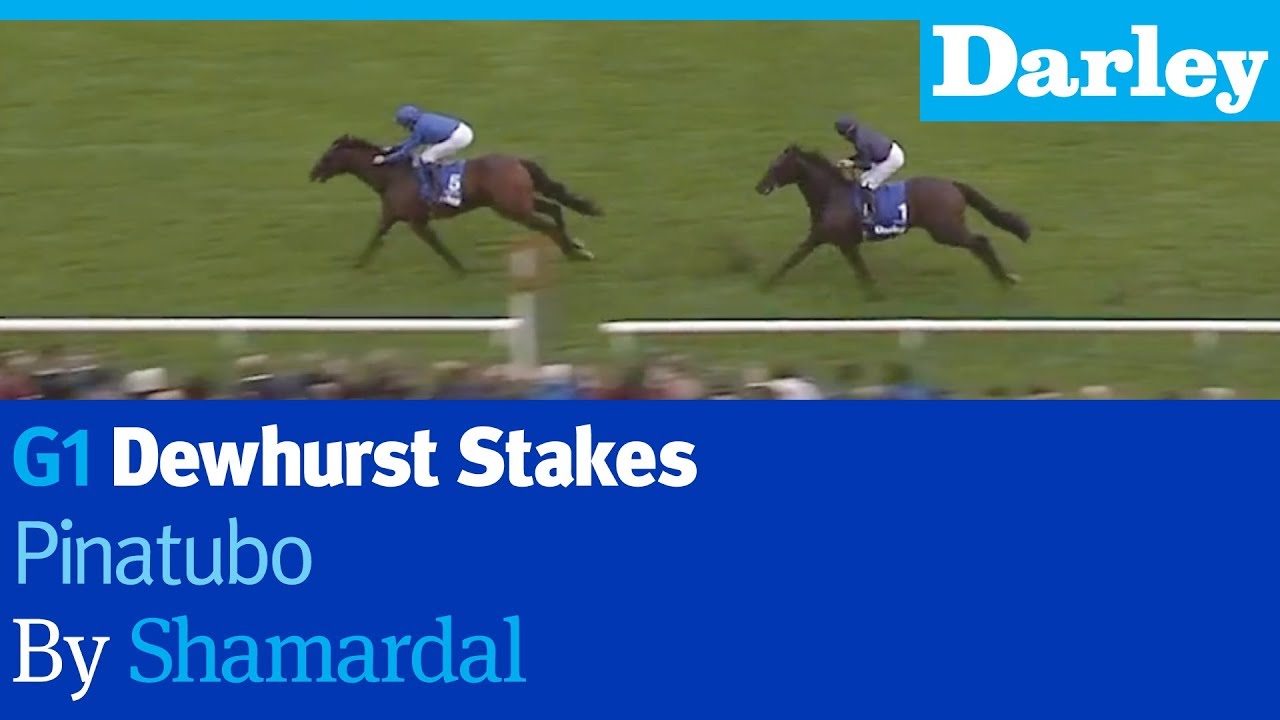 Pinatubo by Shamardal wins the G1 Dewhurst Stakes at Newmarket