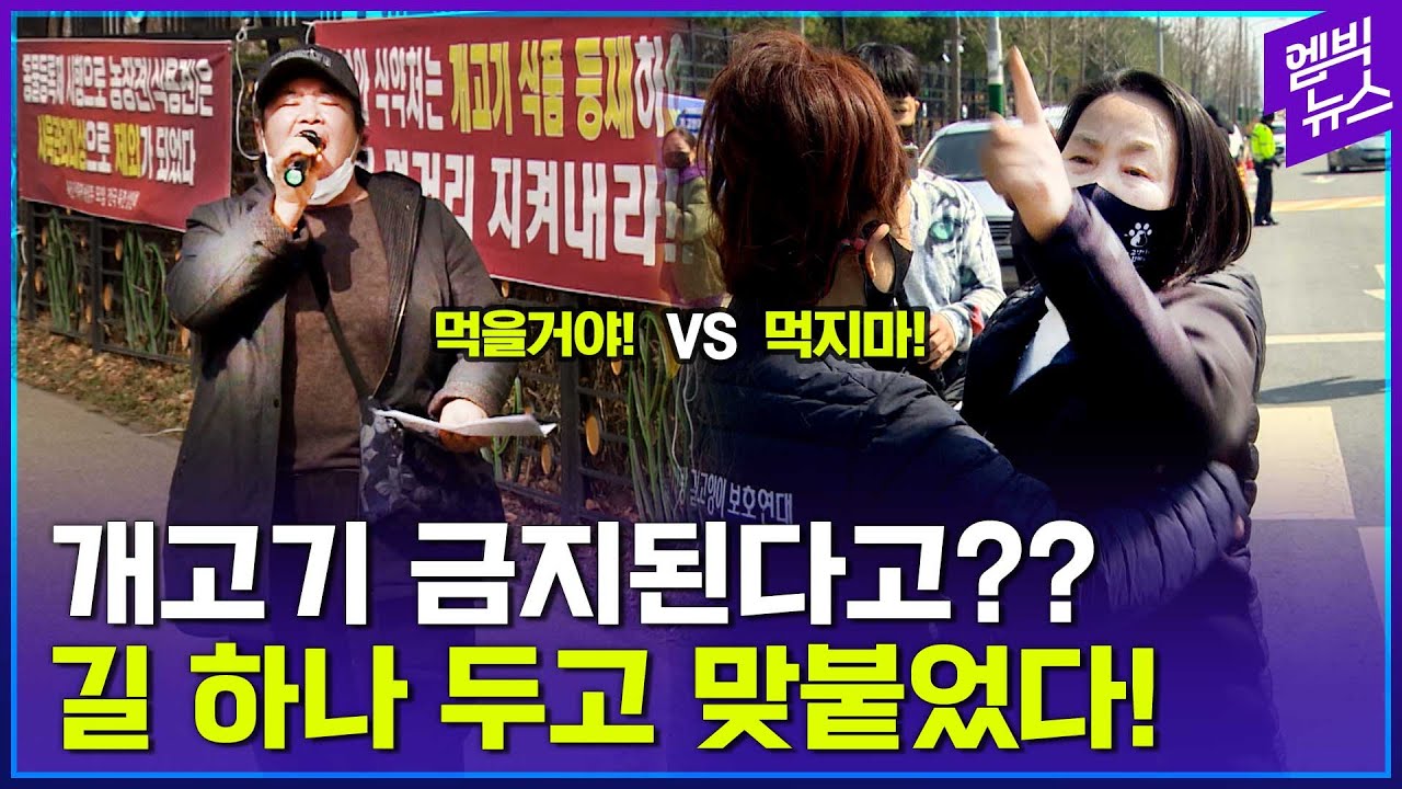 개고기가 개장국 → 보신탕 → 영양탕으로 바뀐 이유