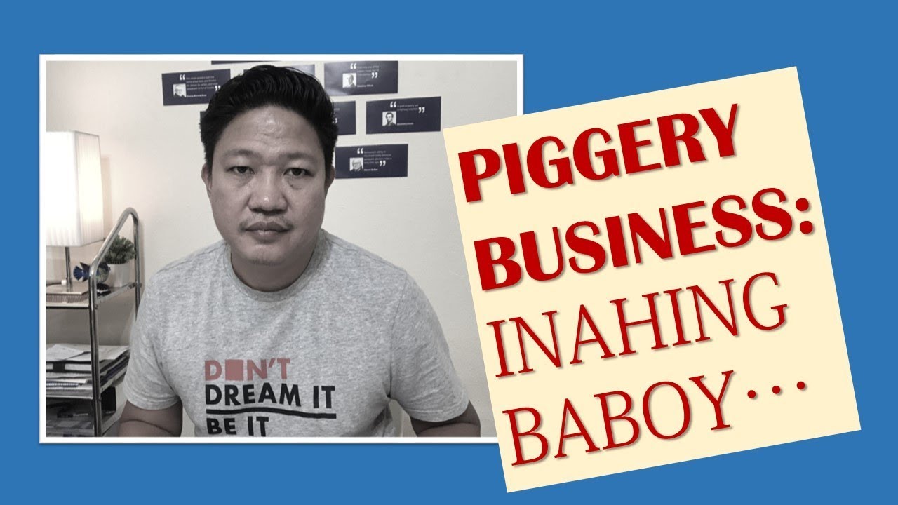 PAANO KWENTAHIN ANG KINITA SA INAHING BABOY? (How to calculate income for sow?) 💯💵 PIGGERY 05