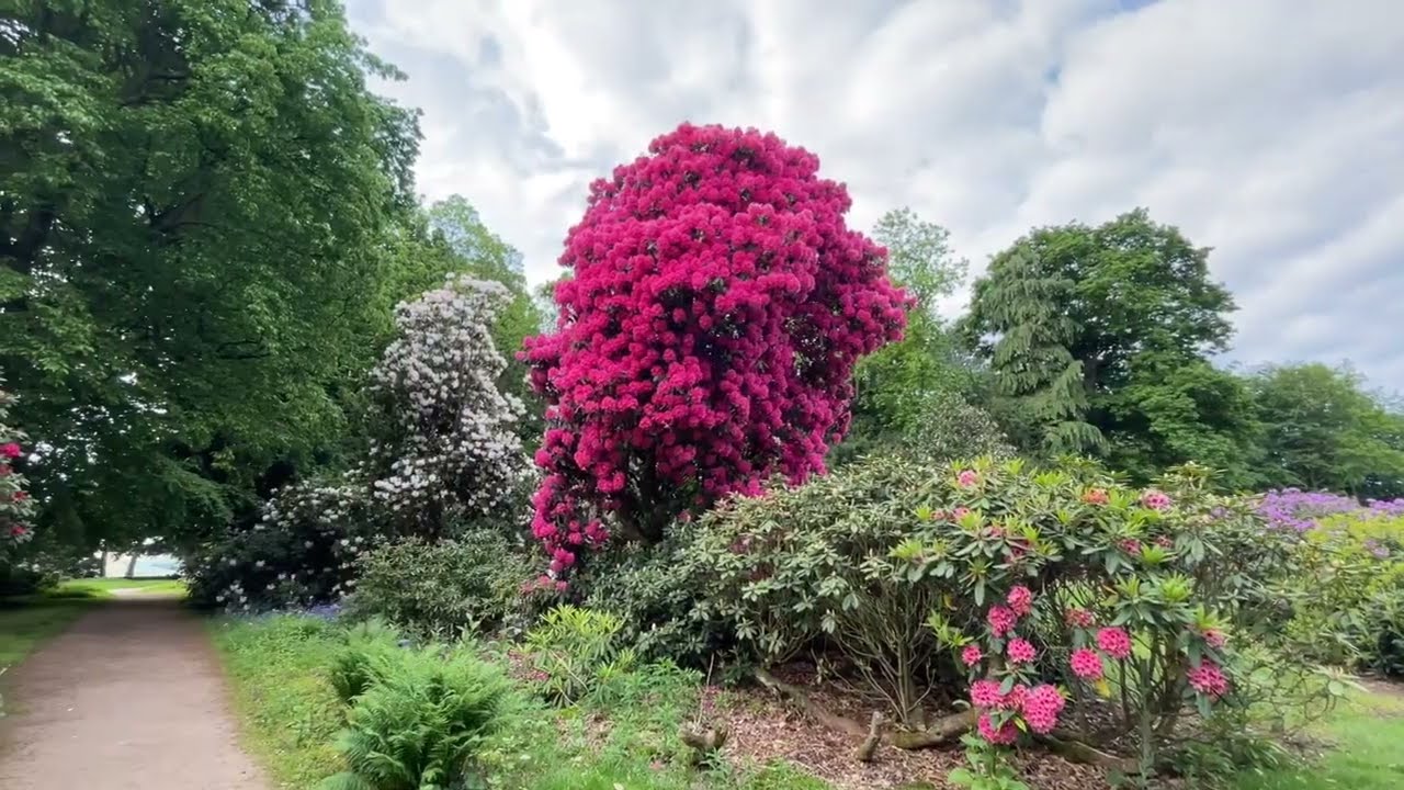 Early morning walk around Wentworth Castle Gardens