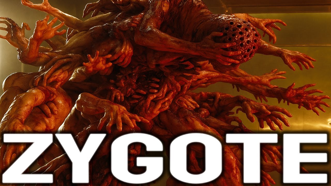 ✅ What is the Zygote? | The Mysterious Story of the Zygote EXPLAINED