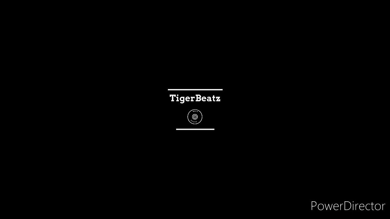 TigerBeatz Session #6        (Prod.Sero Produktion)