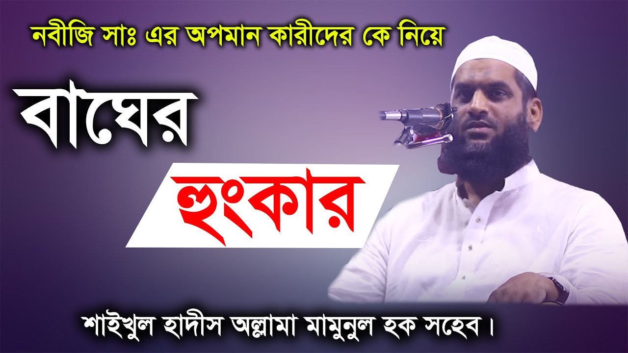 নাস্তিকদের কঠিন ধোলাই দিলেন আল্লামা মামুনুল হক সাহেব | Akbar islamic media