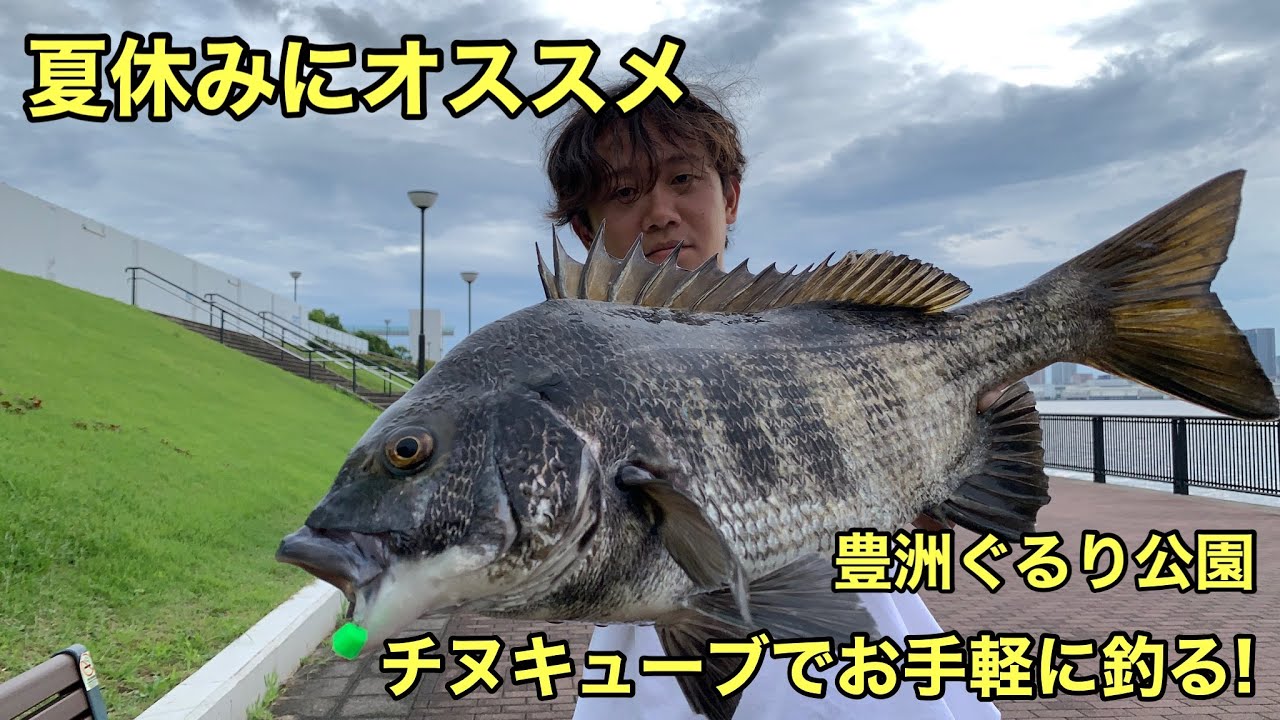 チヌキューブでお手軽に黒鯛を釣る！【夏休みにオススメ】