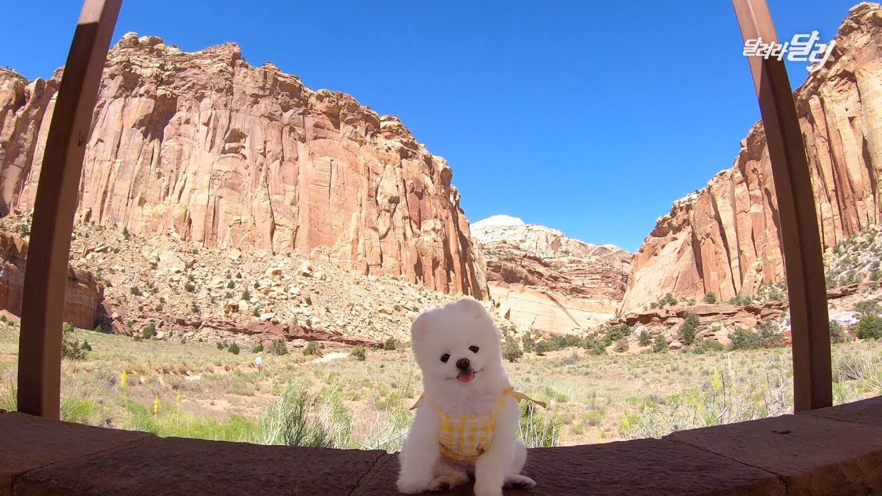 고지가 눈 앞에! 캐피톨리프 국립공원에서 솔트레이크 시티까지