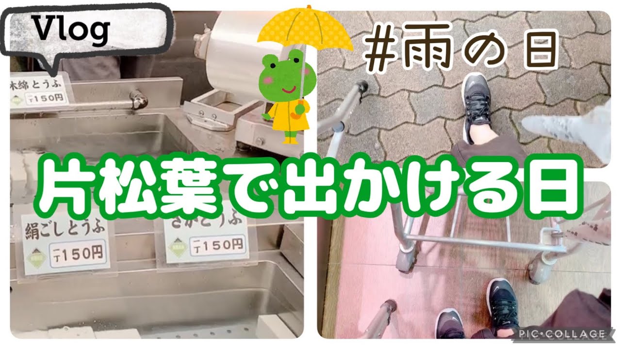 [Vlog]片松葉生活〜えっちらおっちらお買い物編〜