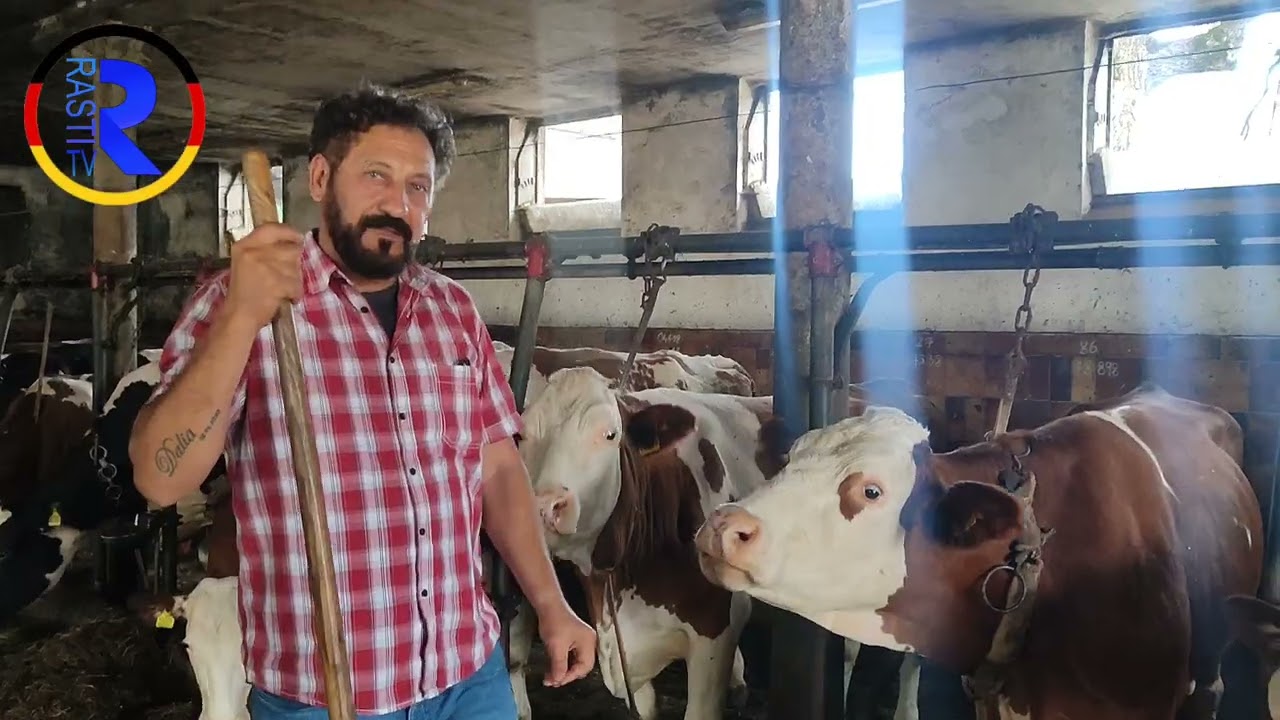 چون ئاژل بەخێو دەکەن لە ئەلمانیا