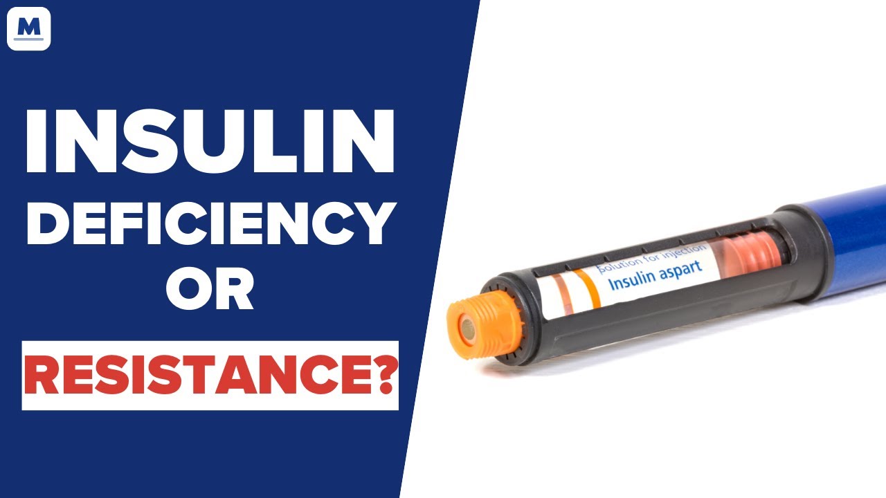 Insulin Deficiency vs. Insulin Resistance | Dr. Marc Hellerstein | Mastering Diabetes