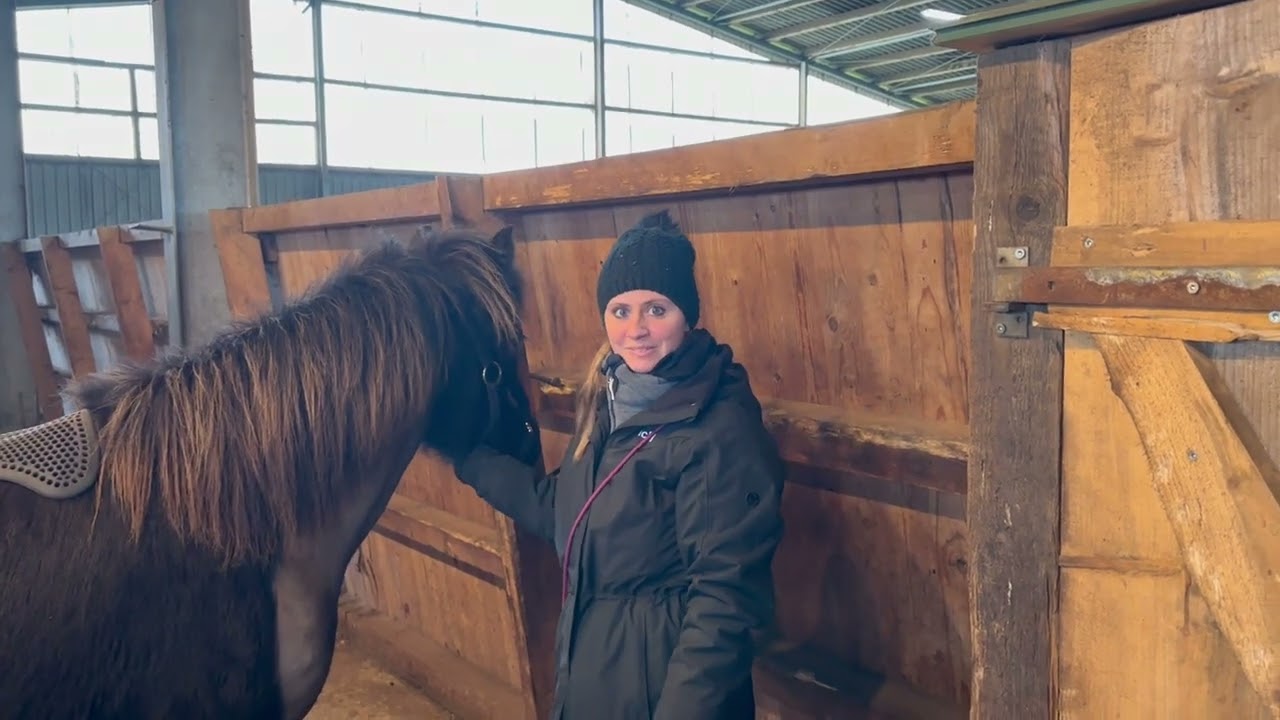 A day with TheHorseSeller - ICELANDIC HORSE DREAMS S1/E3
