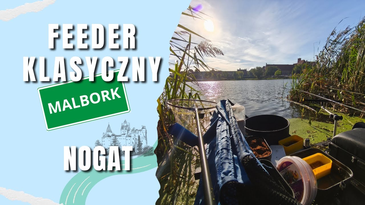 Feeder klasyczny nad Nogatem – okonie i leszcze naprzeciw Zamku Krzyżackiego