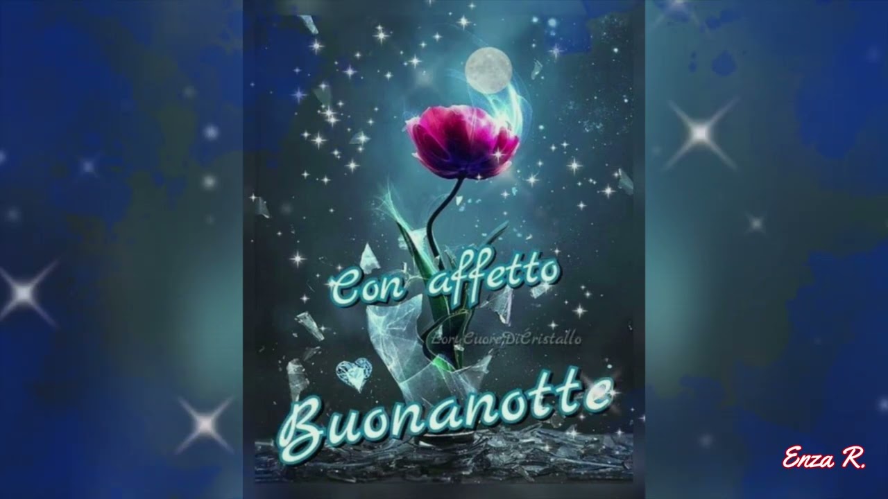 BUONA SERATA E BUONANOTTE🎆🎆