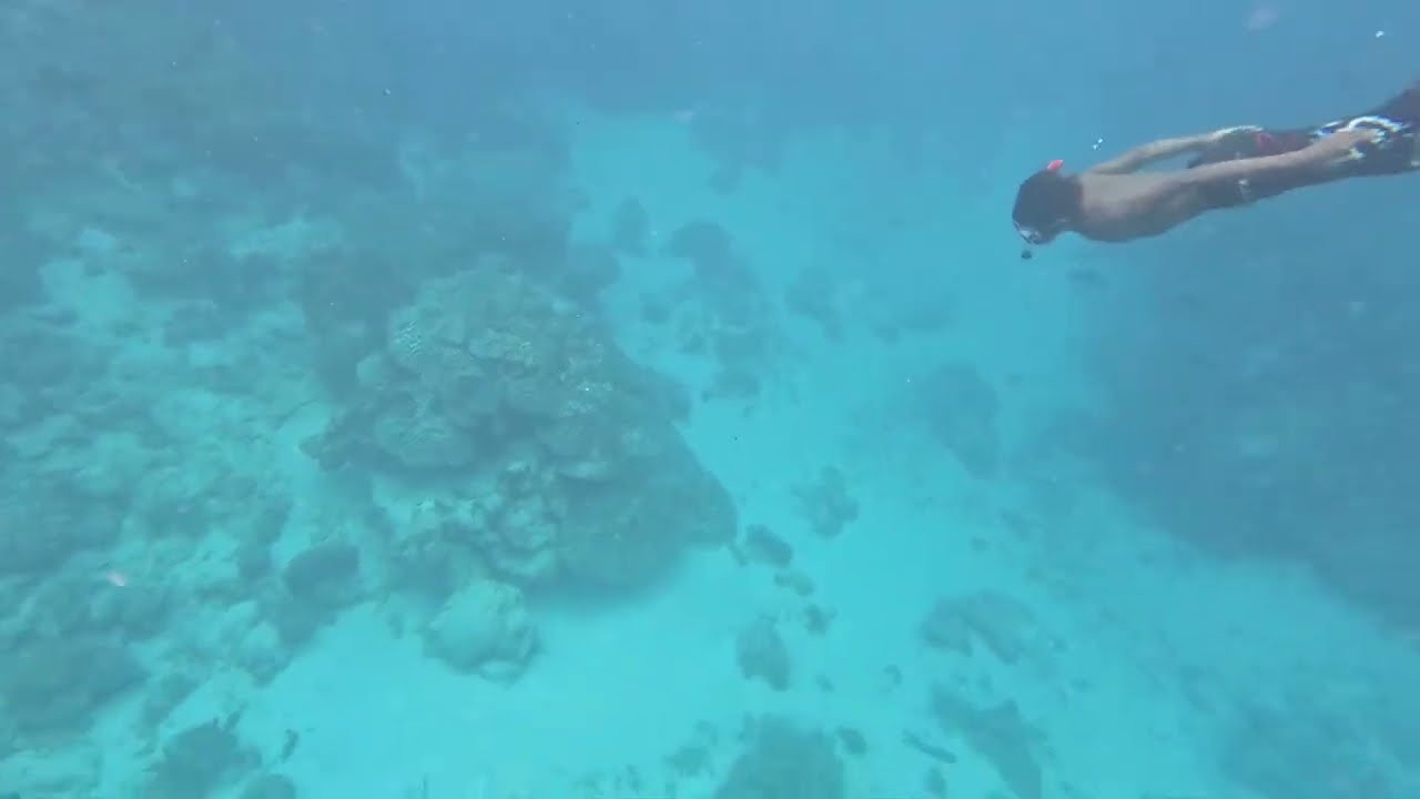 Mystery Island - Snorkelling Tour