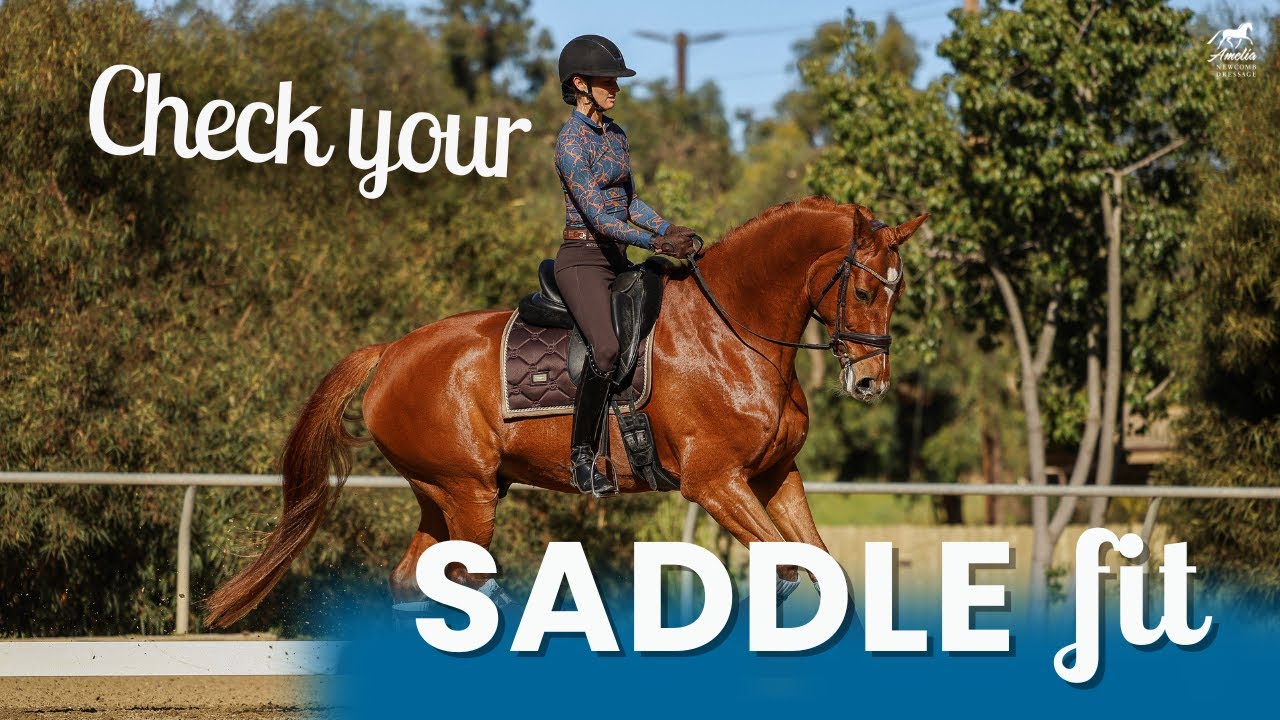 How to Assess Saddle Fit