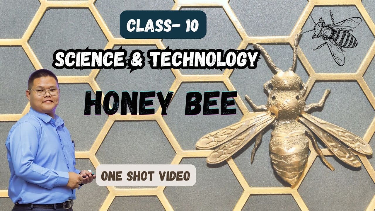 📗 Unit - 3 || Honeybee || One Shot Video || Class 10 - SEE Science || Based on New Syllabus ||