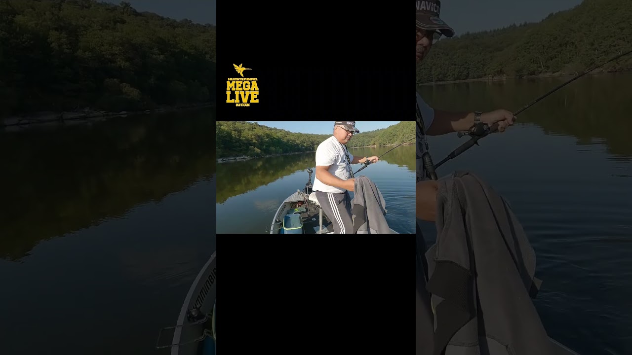 THIS LURE IS A HIT! #fredpandafishing #fishing #megalive #navicomcrew @NavicomMedia