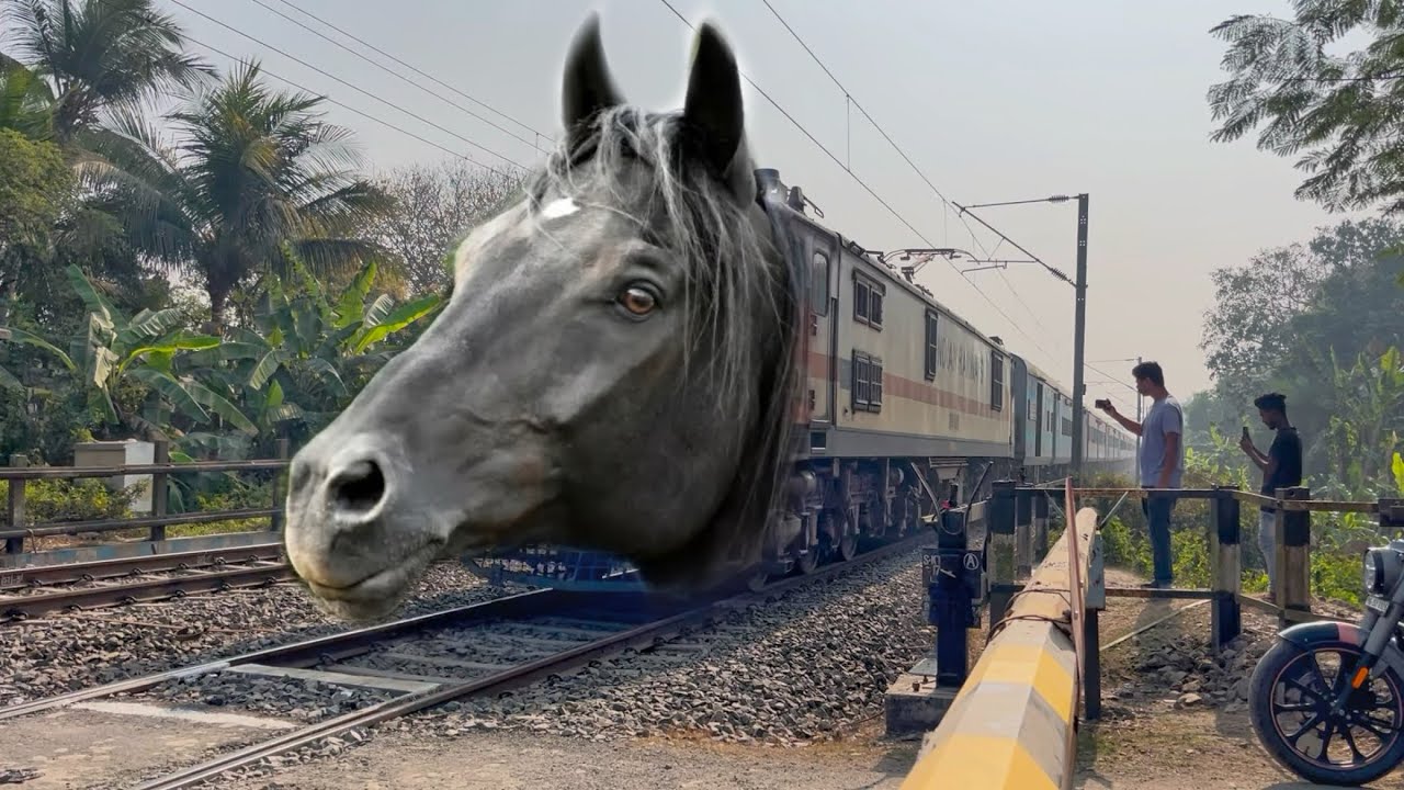 Dangerous Mad Horse Headed Balurghat Express Furious Moving Throughout at Railgate 