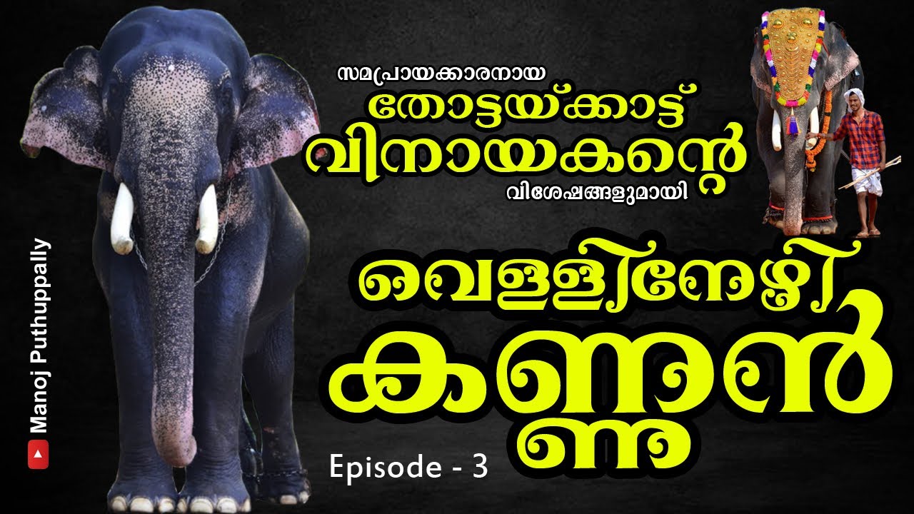 തോട്ടയ്ക്കാട് വിനായകന്റെ വിശേഷങ്ങളുമായി വെള്ളിനേഴി കണ്ണൻ | vellinezhi kannan #interview