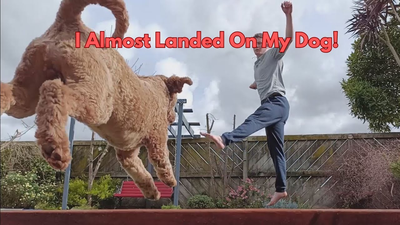 Training for the Olympics