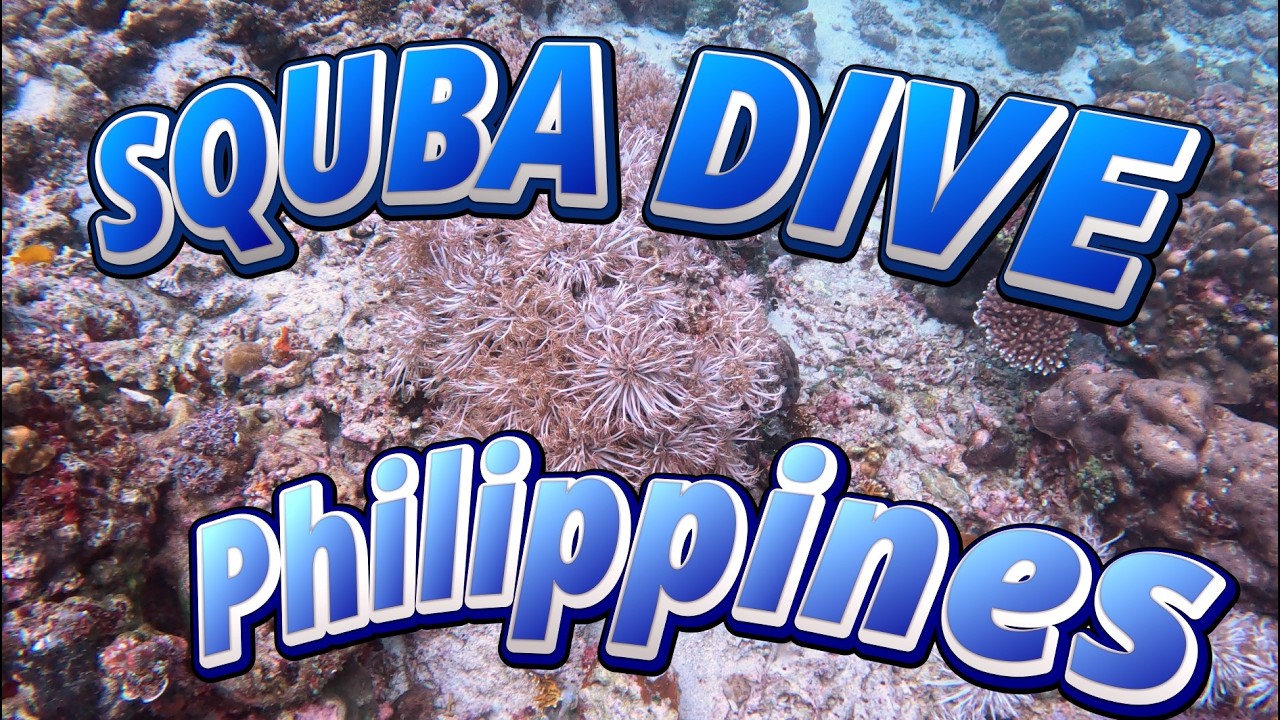 Diving in the Philippines - Batangas 1