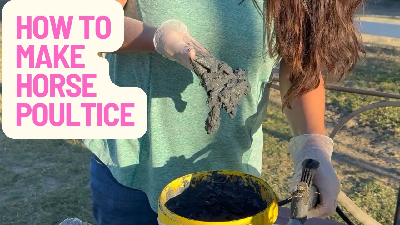 Poultice for Horses: How to Make It & Why It Works (+ Simple DIY Fly Spray)!